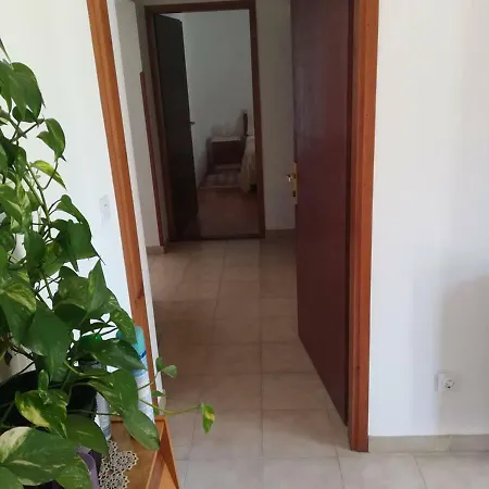 Dulijana 아파트