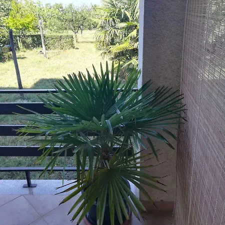 Dulijana *